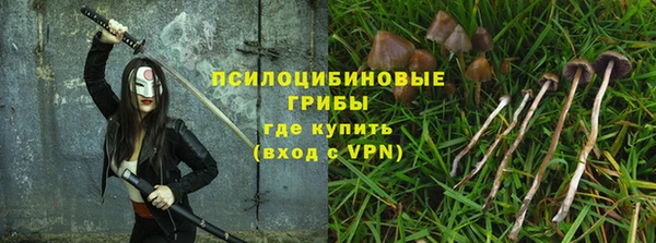 соль ск Осинники