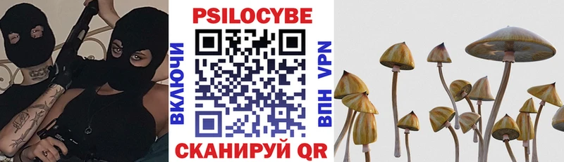 Псилоцибиновые грибы Cubensis Михайловск
