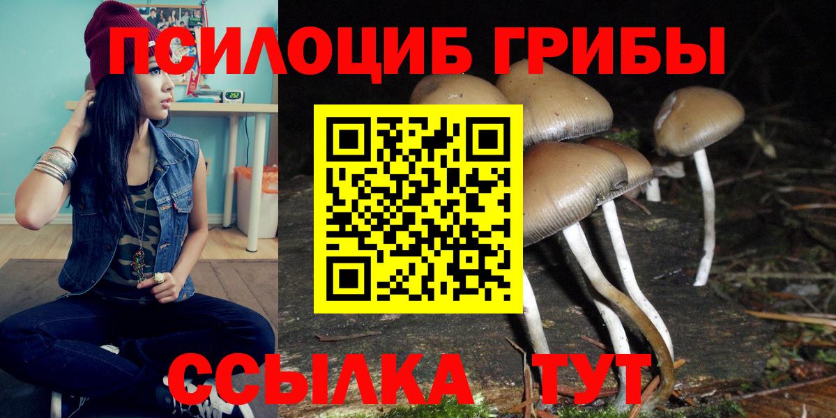 Псилоцибиновые грибы ЛСД  Вход с VPN  Михайловск 