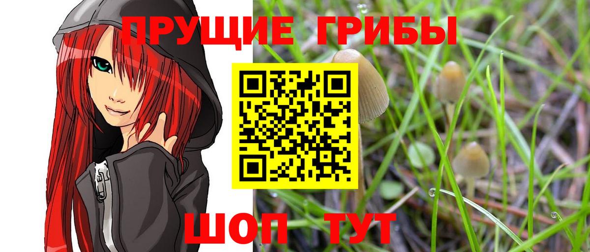 Галлюциногенные грибы мухоморы Михайловск